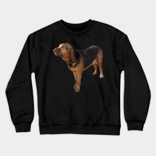 Bloodhound Crewneck Sweatshirt